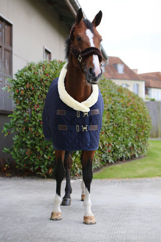 Show Rug 160g Navy