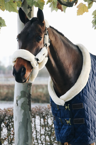 Show Rug 160g Navy