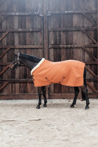 Show Rug 160g Autumn Orange