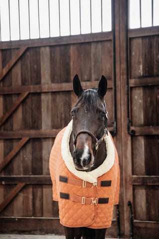 Show Rug 160g Autumn Orange