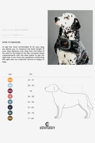 Towel Dog Coat