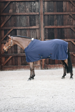 Cooler Fleece Rug