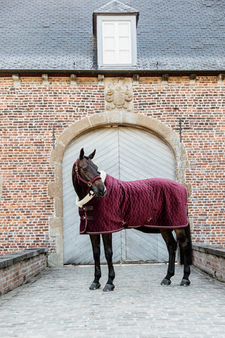 Show Rug Velvet 160g