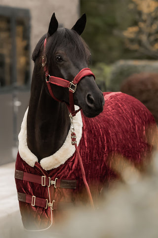 Show Rug Velvet 160g