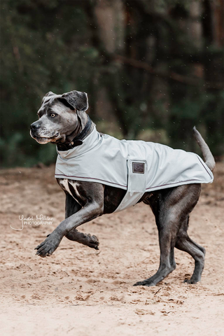 Dog Raincoat 0g