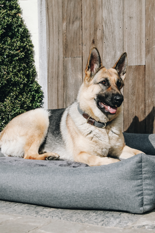 Soft Sleep Hundeseng