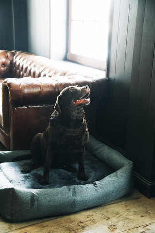 Soft Sleep Hundeseng