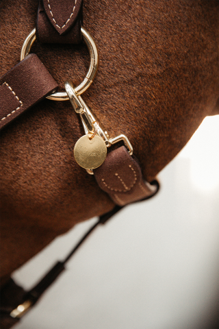 Kentucky Navnebrik Rund