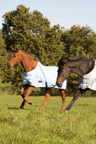 PROTECT Fly Sheet Blue/Navy