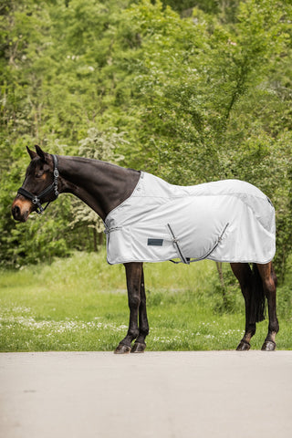 PROTECT Rain Fly Sheet Silver/Gray