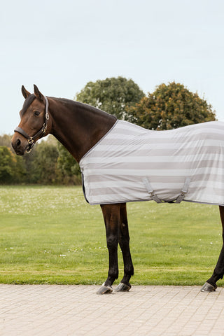 Economic Flugtäcke Silver