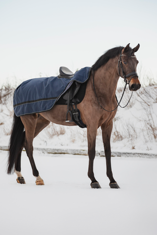 Becca Riding Blanket