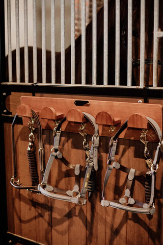 Bridle Hanger