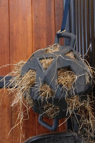 Relax Play&Hay Bold