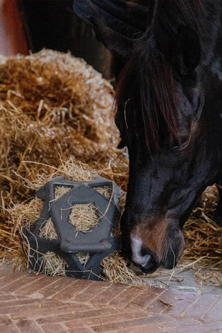 Relax Play&Hay Bold