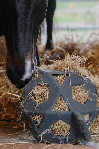 Relax Play&Hay Bold