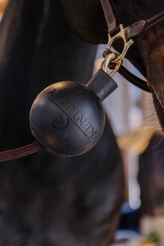 Boll Opbindingsbeskytter Sort