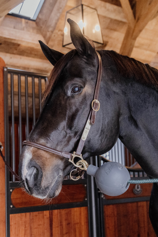 Boll Uppbindningsskydd Grå
