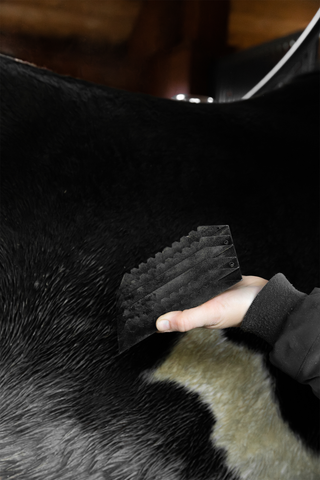 Steel Curry Comb