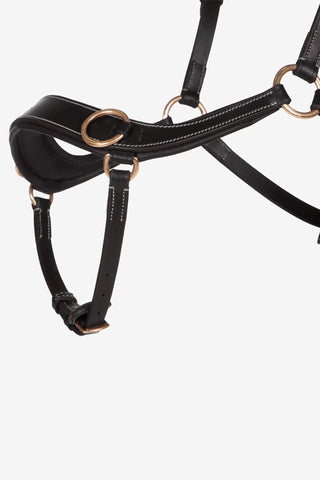 Bitless Bridle Anatomical Black