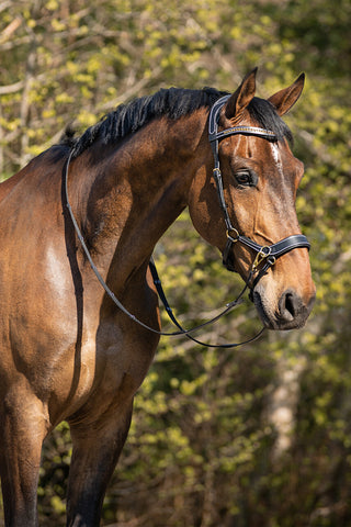 Bettlöst Träns Anatomiskt Svart