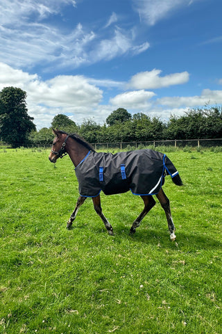 Amigo Ripstop 900D 200g Føldækken Sort/Blå