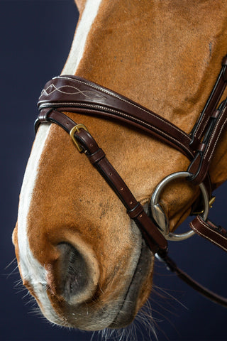 Anatomical Wide Noseband Dyon Collection