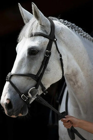 Origin Bridle Fig 8 Black