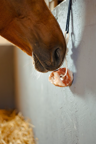 Himalaya zoutblok 1-2 kg