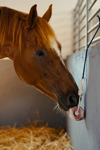 Himalayan Salt Lick 1-2kg