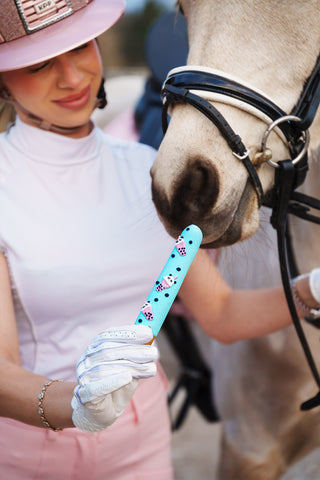 Horse Treats Sticks Foodie 6-pack