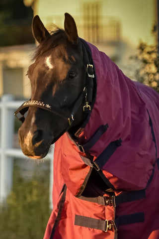 Derry Grime Sort/Guld