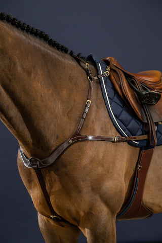 Anatomisk 5-punkts fortøj Dyon Collection brun