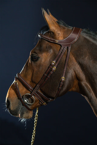 Difference Hoofdstel Gecombineerde Neusriem Dyon Collectie
