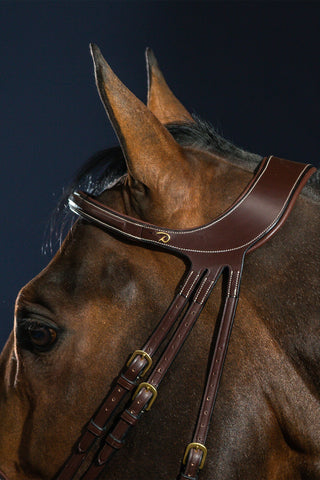 Difference Hoofdstel Gecombineerde Neusriem Dyon Collectie