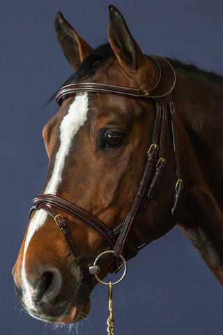 Difference Hoofdstel Gecombineerde Neusriem Dyon Collectie