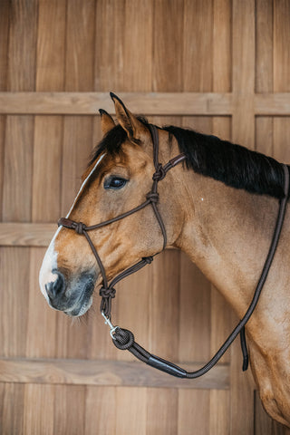 Repgrimma Working Collection Brun