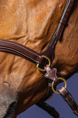 Hoofdstel D-Motion Dyon Collection Bruin