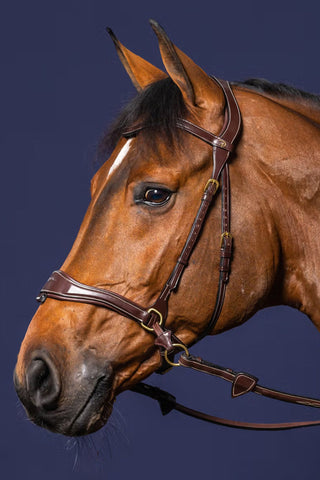 Hoofdstel D-Motion Dyon Collection Bruin