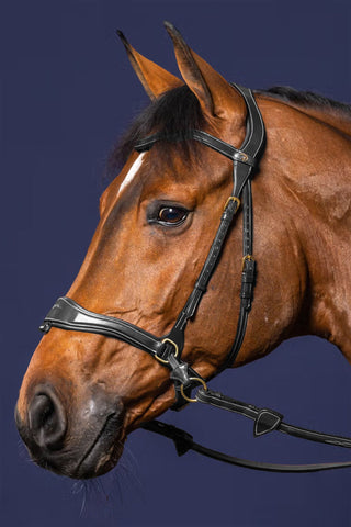 Hoofdstel D-Motion DYon Collection Zwart