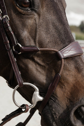 Dyon Bridle Elastic Hybrid New English Brown
