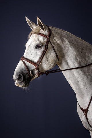 Bridle Flash New English Brown