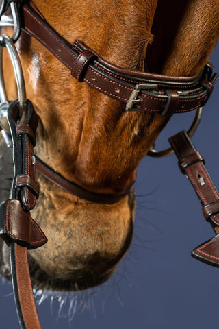 Bridle Flash New English Brown