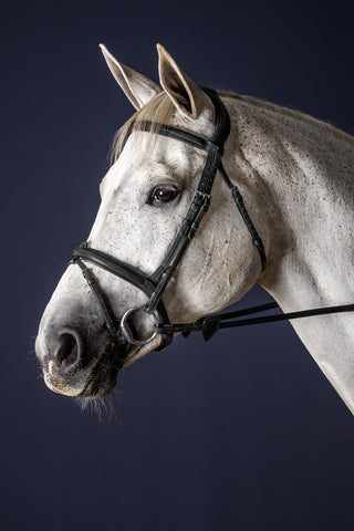 Flash Bridle New English Black