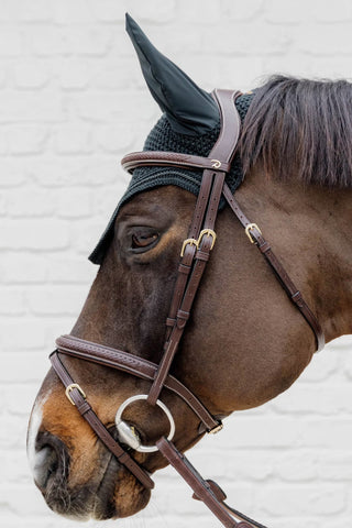 Hoofdstel Gevlochten Combinatie Dyon Collection Bruin