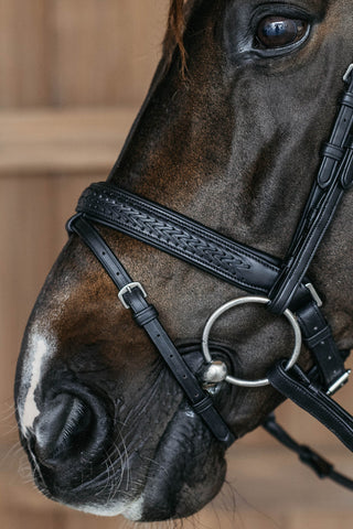 Bridle Braided Pullback New English Black