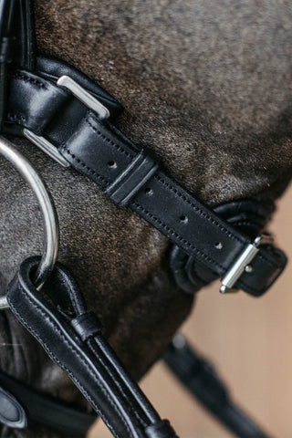 Bridle Braided Pullback New English Black