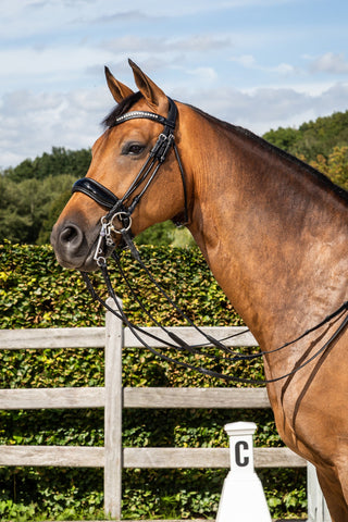 Double Bridle Round Stitched Pullback Patent/Black