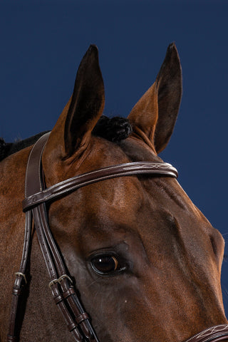 Hoofdstel US Hunter Collection Bruin