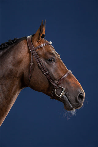 Hoofdstel US Hunter Collection Bruin